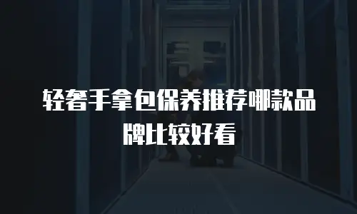 轻奢手拿包保养推荐哪款品牌比较好看