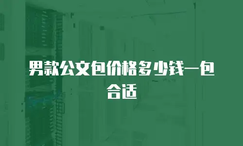 男款公文包价格多少钱一包合适
