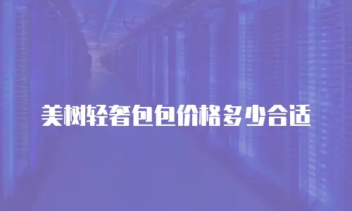 美树轻奢包包价格多少合适