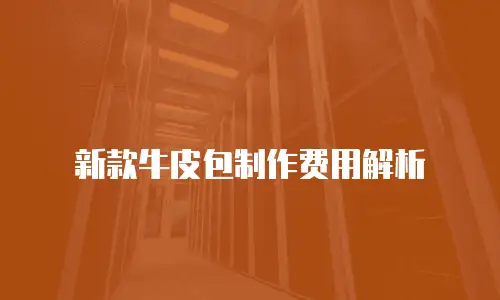 新款牛皮包制作费用解析