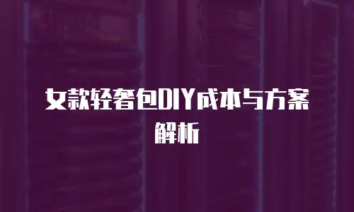 女款轻奢包DIY成本与方案解析