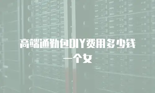 高端通勤包DIY费用多少钱一个女
