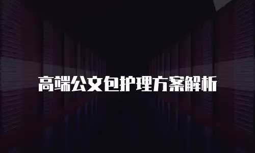 高端公文包护理方案解析
