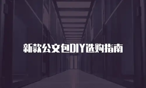 新款公文包DIY选购指南
