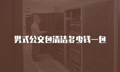 男式公文包清洁多少钱一包