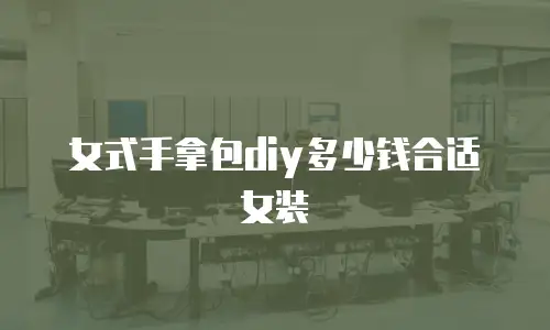 女式手拿包diy多少钱合适女装