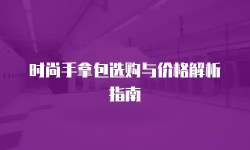 时尚手拿包选购与价格解析指南