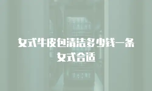 女式牛皮包清洁多少钱一条女式合适