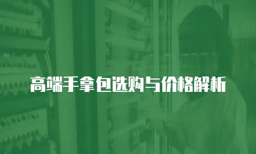 高端手拿包选购与价格解析