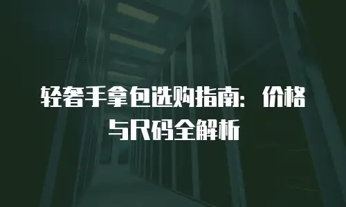 轻奢手拿包选购指南：价格与尺码全解析