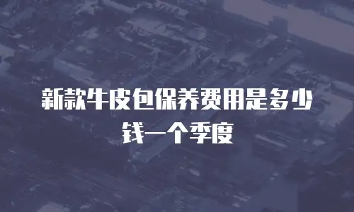 新款牛皮包保养费用是多少钱一个季度