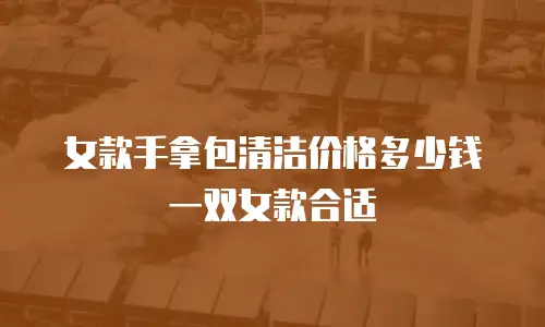 女款手拿包清洁价格多少钱一双女款合适