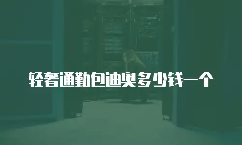 轻奢通勤包迪奥多少钱一个