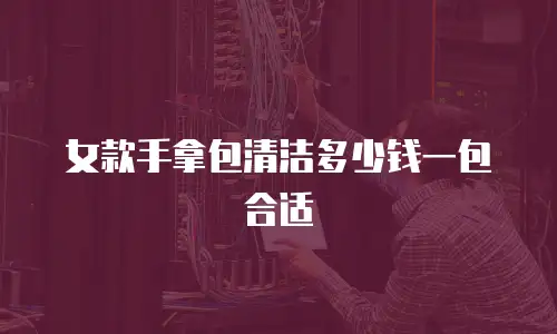 女款手拿包清洁多少钱一包合适