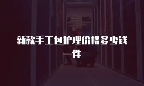 新款手工包护理价格多少钱一件