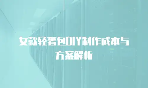 女款轻奢包DIY制作成本与方案解析