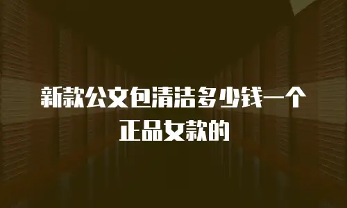 新款公文包清洁多少钱一个正品女款的