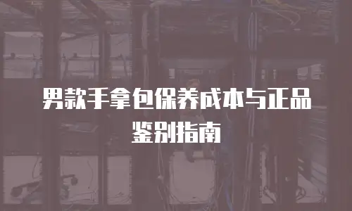 男款手拿包保养成本与正品鉴别指南