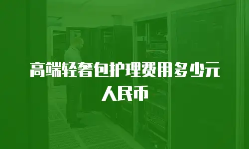 高端轻奢包护理费用多少元人民币