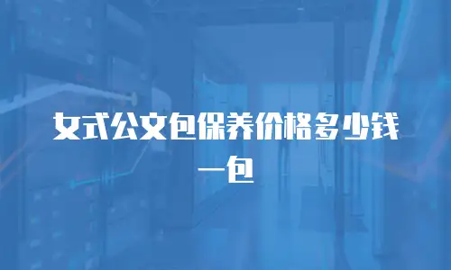 女式公文包保养价格多少钱一包