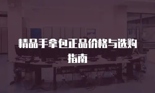 精品手拿包正品价格与选购指南