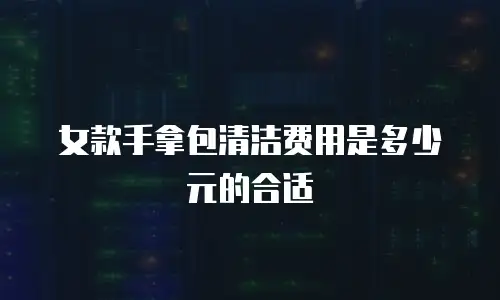 女款手拿包清洁费用是多少元的合适