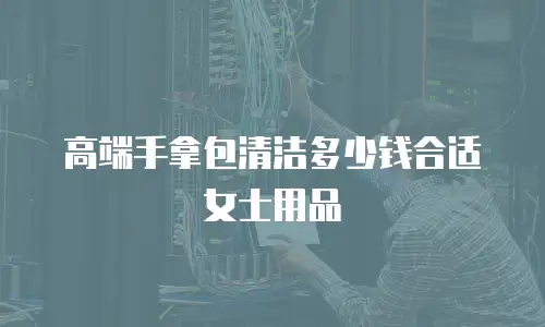 高端手拿包清洁多少钱合适女士用品