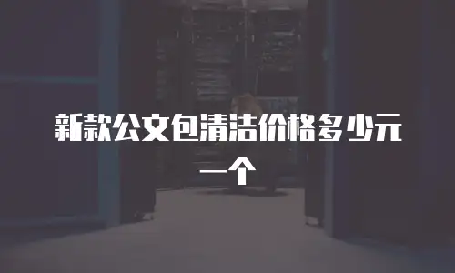 新款公文包清洁价格多少元一个