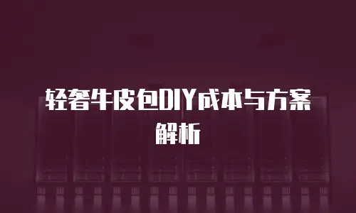 轻奢牛皮包DIY成本与方案解析
