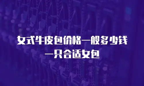 女式牛皮包价格一般多少钱一只合适女包