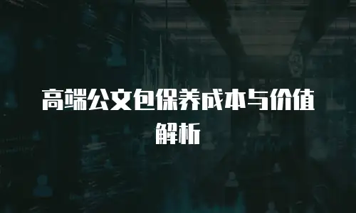 高端公文包保养成本与价值解析
