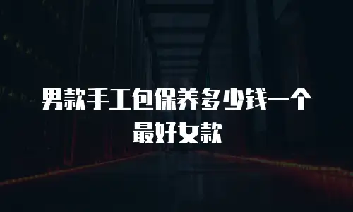 男款手工包保养多少钱一个最好女款