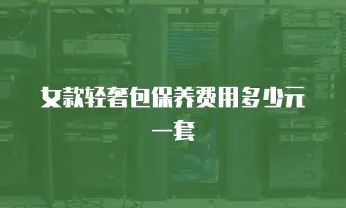 女款轻奢包保养费用多少元一套