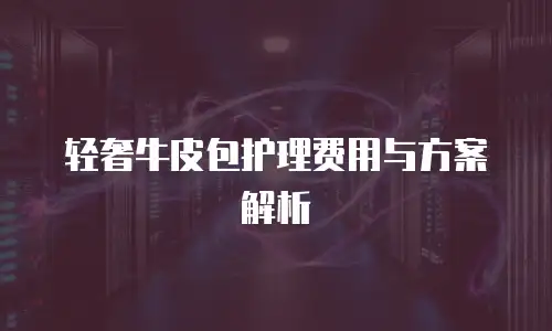 轻奢牛皮包护理费用与方案解析