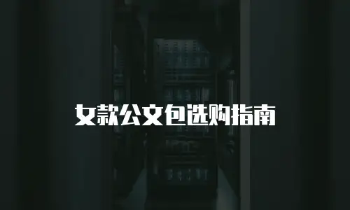 女款公文包选购指南