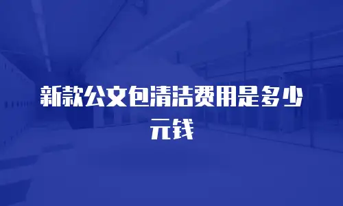 新款公文包清洁费用是多少元钱