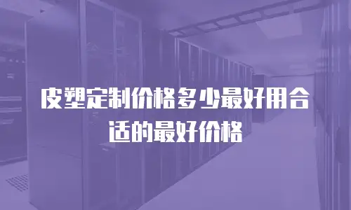 皮塑定制价格多少最好用合适的最好价格