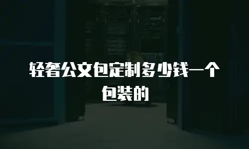 轻奢公文包定制多少钱一个包装的