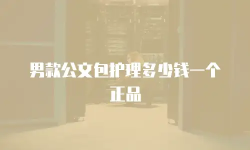 男款公文包护理多少钱一个正品