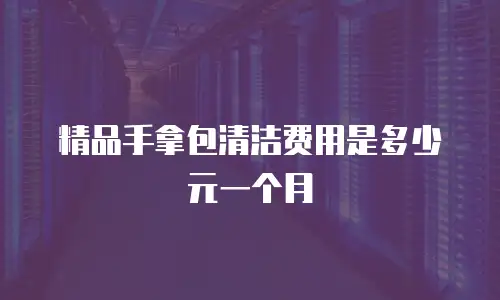 精品手拿包清洁费用是多少元一个月