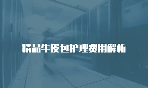 精品牛皮包护理费用解析