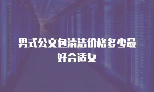 男式公文包清洁价格多少最好合适女
