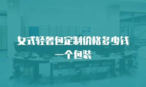女式轻奢包定制价格多少钱一个包装