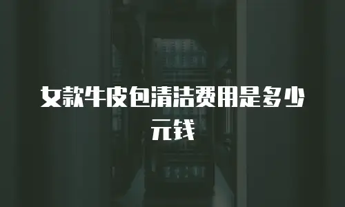 女款牛皮包清洁费用是多少元钱