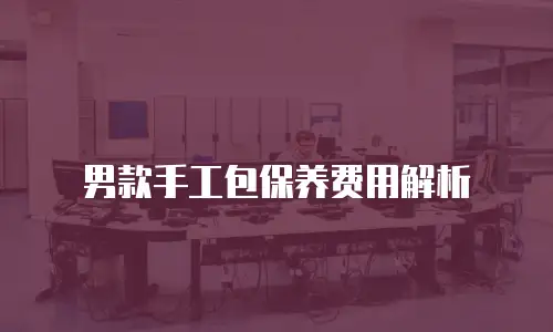 男款手工包保养费用解析