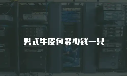 男式牛皮包多少钱一只
