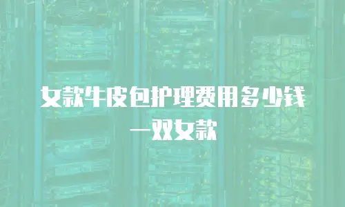 女款牛皮包护理费用多少钱一双女款
