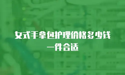 女式手拿包护理价格多少钱一件合适