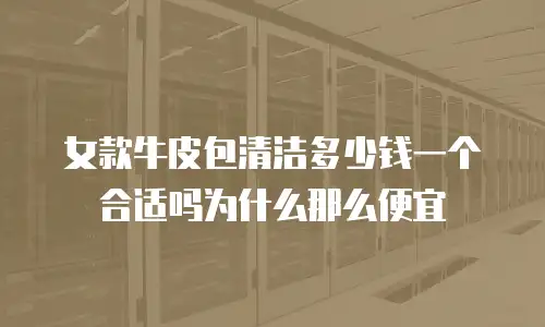 女款牛皮包清洁多少钱一个合适吗为什么那么便宜
