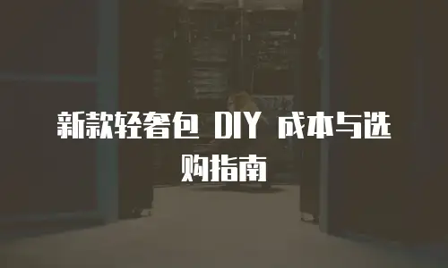 新款轻奢包 DIY 成本与选购指南